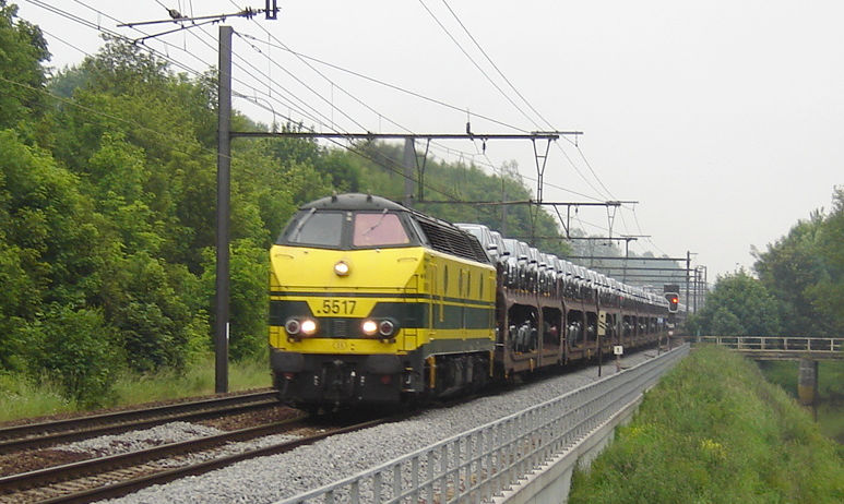 5517.jpg