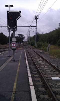 IMAG0042.jpg