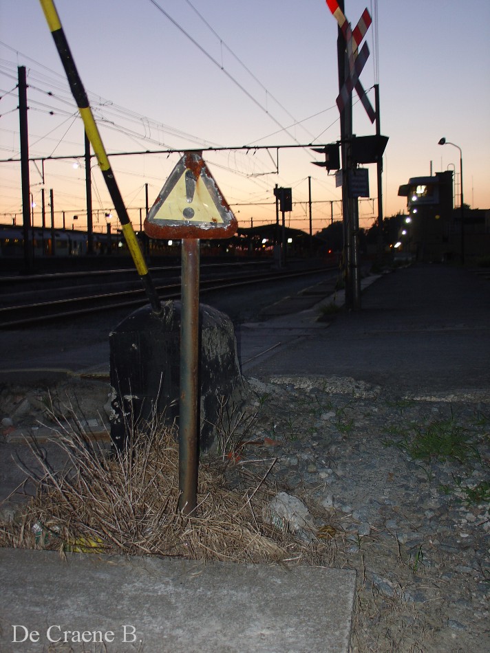 DSC05173.JPG