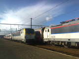2956zc7_th.jpg