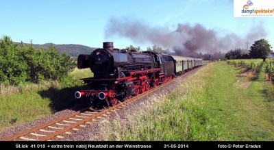 IMG_4957SF.JPG
