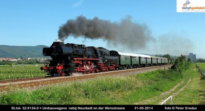 IMG_4966SF.JPG
