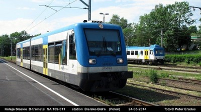 9902 SF.JPG