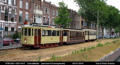 IMG_5205SF.JPG