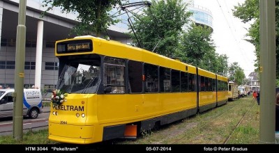 IMG_5236SF.JPG
