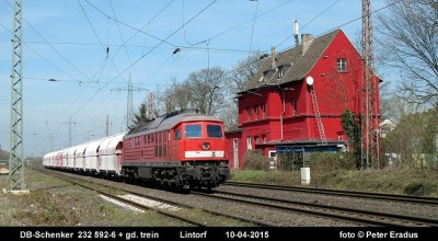 IMG_6728 - SF.JPG