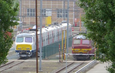 MS75-1.jpg