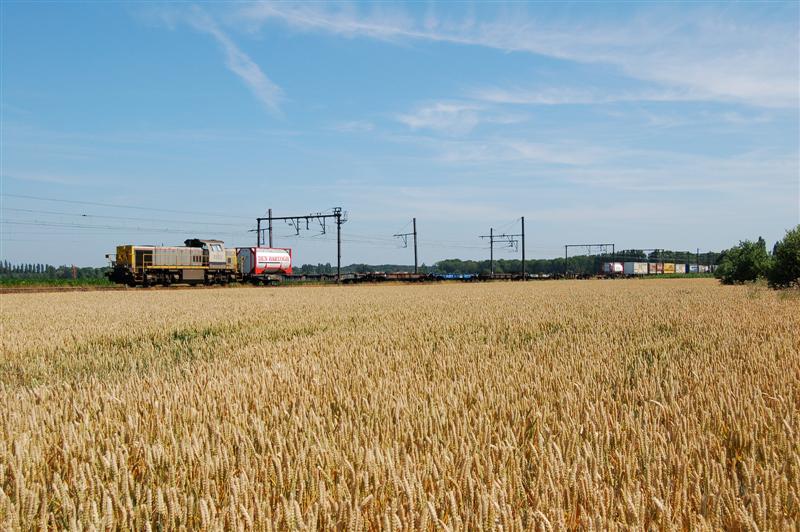 NMBS 7853 met Huckepack trein ri Antwerpen (Medium).jpg