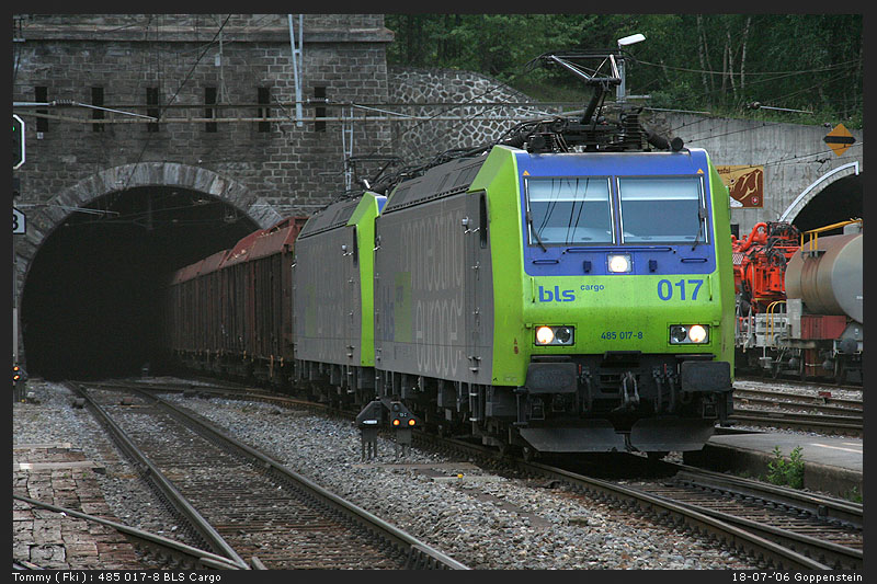 485 017-8.jpg