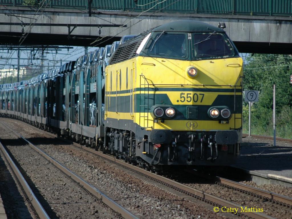 HLE 5507<br />© Catry Mattias