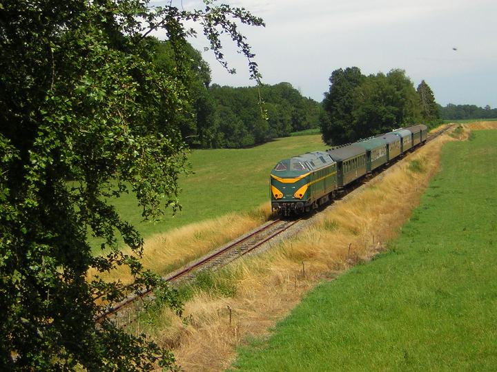 DSCN0495.JPG