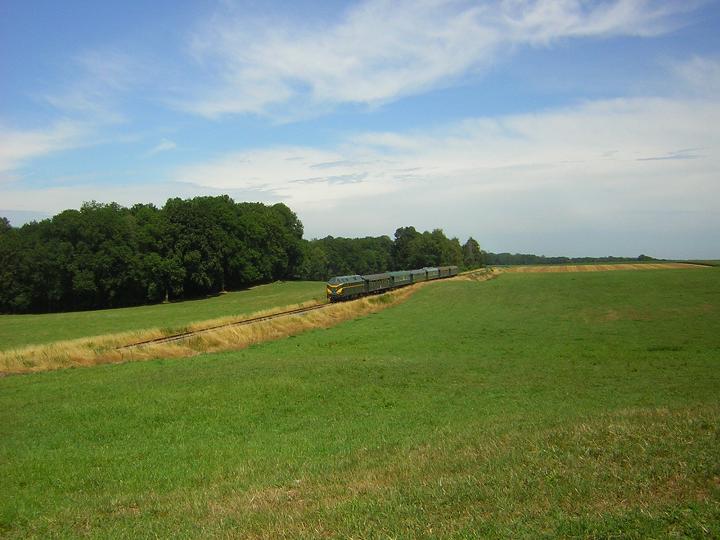 DSCN0490.JPG