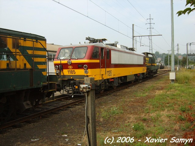 HLE11_85_1_cx.jpg