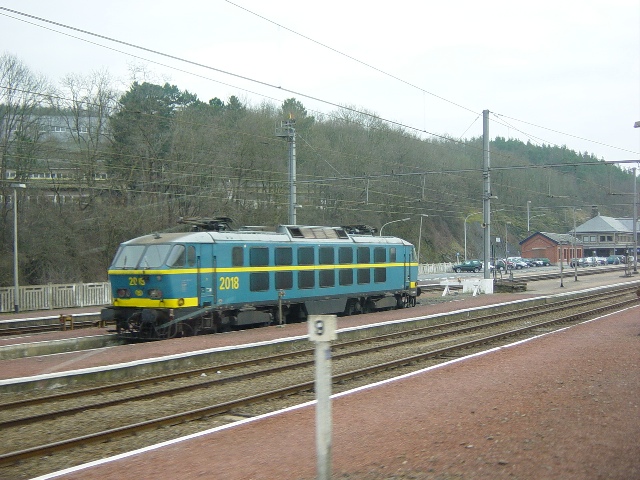 2018 te LJ bis.JPG