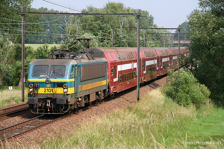 HLE 2101 copy.jpg