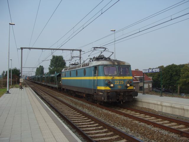 2229.JPG