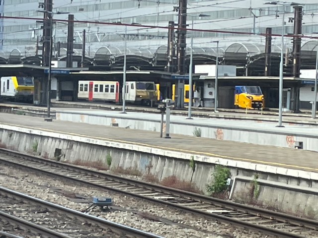 IMG_5695.jpeg