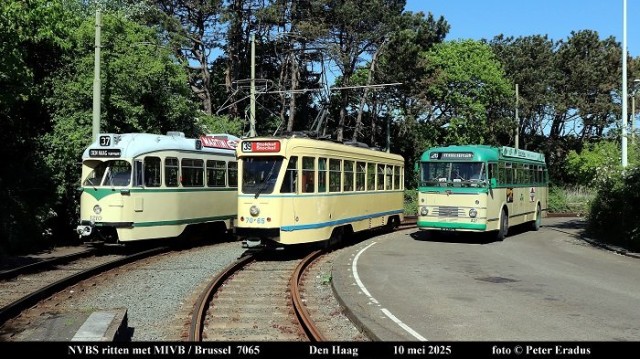 IMG_5680-SF.JPG