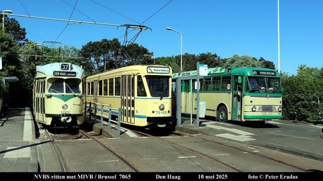IMG_5694-SF.JPG