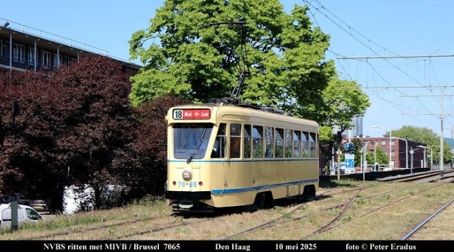 IMG_5699-SF.JPG