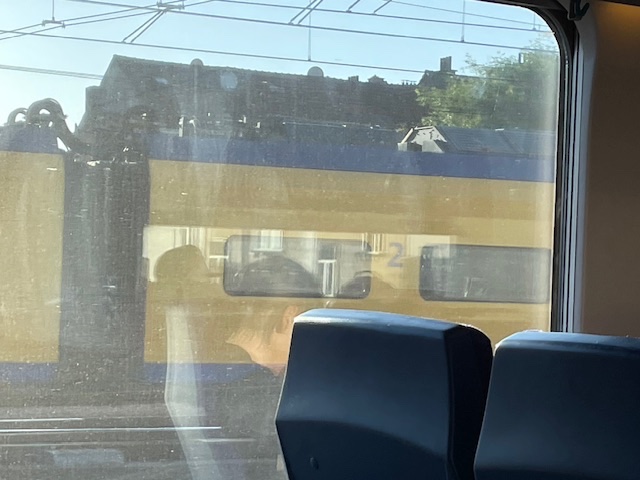 IMG_8019.jpeg