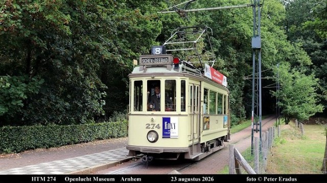 IMG_8623-SF.JPG