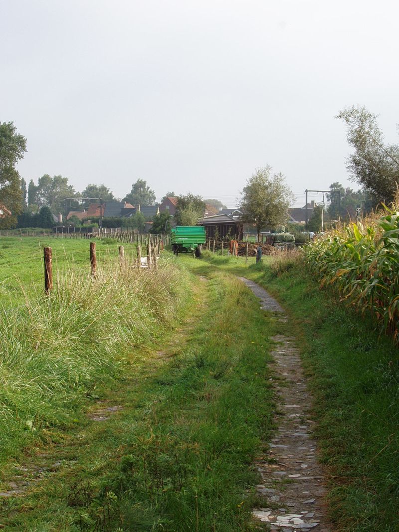 De andere kant van het privé domein. De foto is genomen op dezelfde plaats als de volgende foto, maar dan richting Torhout. In de verte ligt lijn 66. Het pad is de plaats waar de spoorlijn vroeger lag.